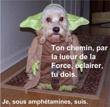 "ziioouuuum, ziooouuuuuummmm !!"