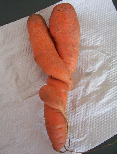 1470308306_f5d580187d carotte torsadées