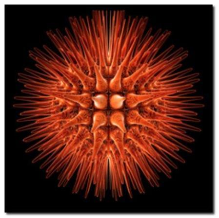 Frigos_Frigo_60x60cm_Strange virus sida 1