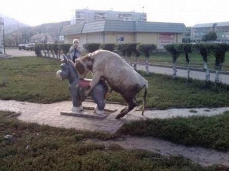 Bull Humps Donkey Bull Humps Statue