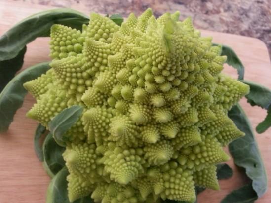 20131211_152129-1024x768