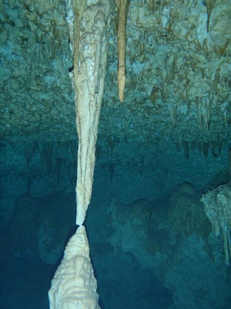 Du looooooooong terme.