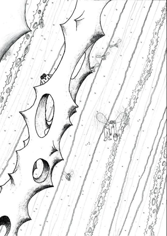 dessin au crayon, retouché avec paint.net. Mouches de plastiques construisant des barres obliques piquantes.